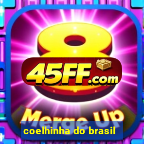 coelhinha do brasil